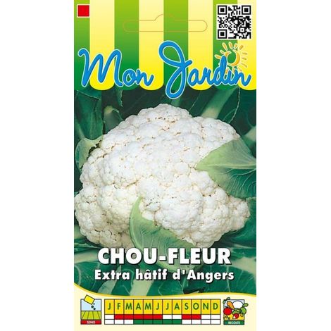 Chou fleur extra hâtif d'Angers - 1g