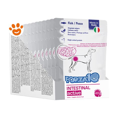 Forza10 Dog Intestinal Active Pesce - Forza10 Dog Intestinal Active Pesce - Bustina Da 100 Gr
