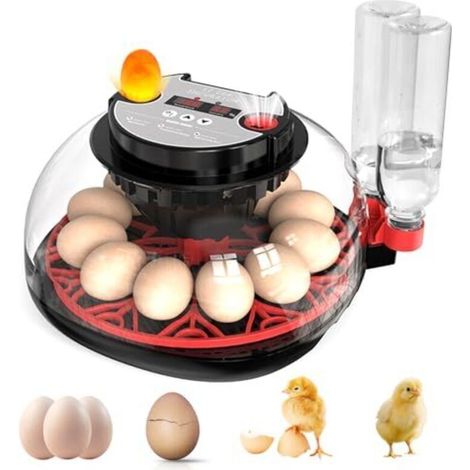 Incubateur d'œufs entièrement automatique 12 œufs avec alimentation en eau, retourneur d'œufs automatique et contrôle de la température et de l'humidité, incubateur, machine à éclore pour poulets, cai (1/4)