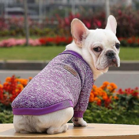 Frühlings- und Sommerkleidung für kleine Hunde, weicher Hundepullover, Kleidung für Chihuahuas, klassisches Haustieroutfit, Ropa Perro, Lila (1/5)