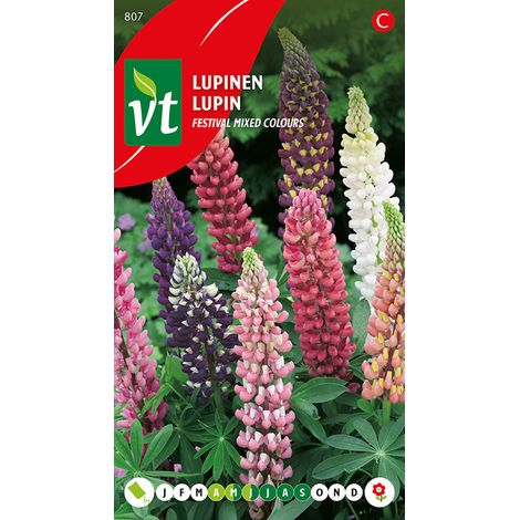 Lupine Mix Couleurs - Ca. 1 gr (Livraison Gratuite) (1/2)