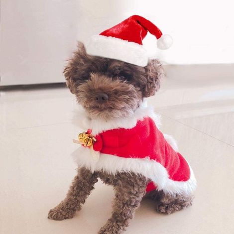 Weihnachtsoutfits für Hunde, Weihnachtskatzenkleidung, Hundekostüm mit Schleife