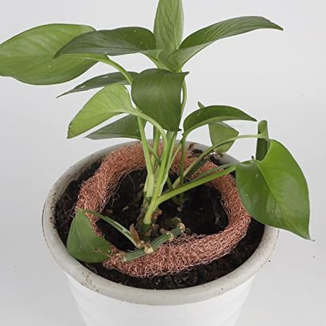 Filet en cuivre, 12,5 cm x 12 m, maille de cuivre flexible, anti-limaces et escargots, protection pour les jeunes plants de jardin (1/3)