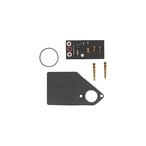 Vergaser Reparatursatz Briggs-Stratton 176400 kompatibel mit mehreren Modellen