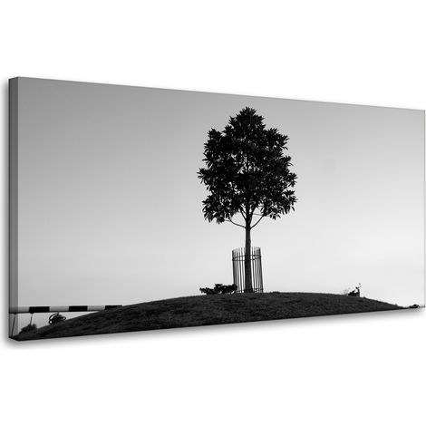 Leinwanddruck Natur Baum Schwarz-Weiß 80x40
