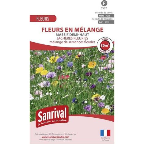 Jachère fleurie pour massif demi-haut