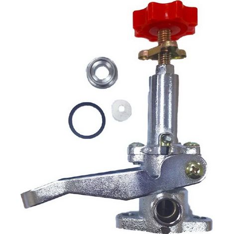 Regulador Completo compatible con Tf22 Ref 449810