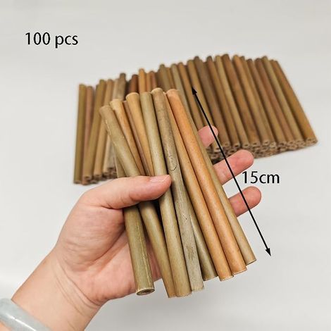 Matériau de Remplissage de Tubes d'hôtel à Insectes Tube en Bambou Naturel de 15cm de Longueur Accessoires de Maison d'abeille dans Le Jardin (1/4)