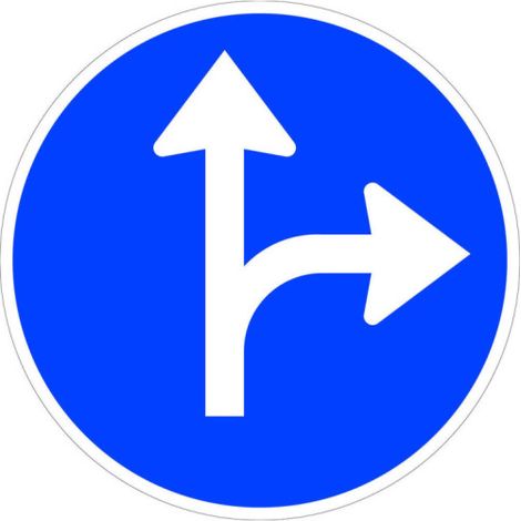 Señal de direcciones y sentidos permitidos (adelante y derecha) SEKURECO 60 cm (1/3)