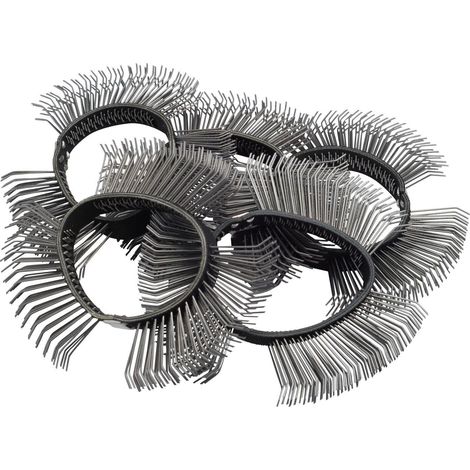 Bande de brossage ∙ 11 mm de large · grosse · à crins recourbés 9033-6-03/5 (1/2)