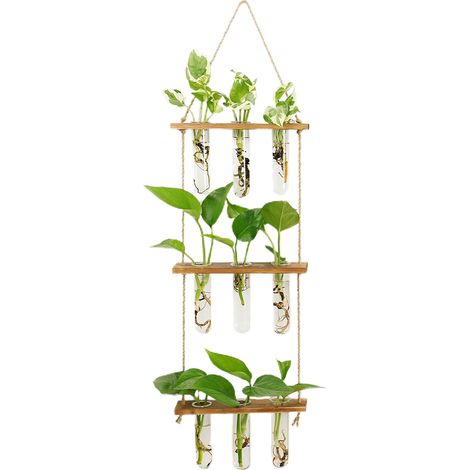 Soporte de pared para plantas con 9 tubos de vidrio, M-MW703, madera natural vintage, estación de propagación decorativa para la pared de la oficina. (1/5)
