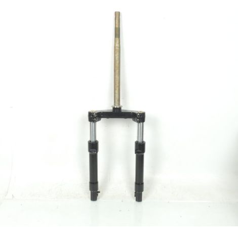 Teleskop-Gabel für Scooter Peugeot 125 DJANGO Y EURO 4 (1/5)