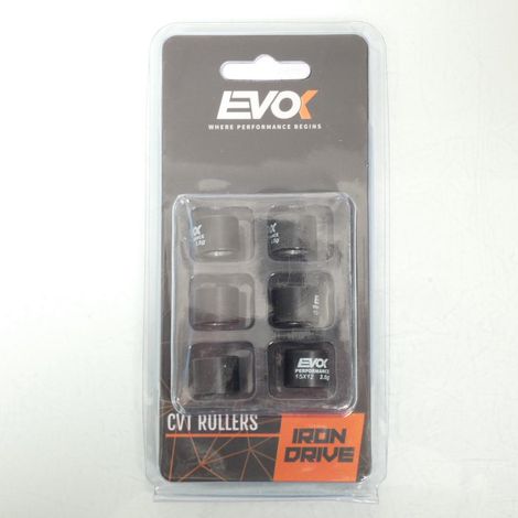 Galet rouleau de variateur EVOK pour Mobylette Rieju 50 Windy LC (1/4)