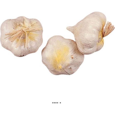 tête d ail artificiel en lot de 3 en Plastique soufflé H 70x50 mm (1/3)
