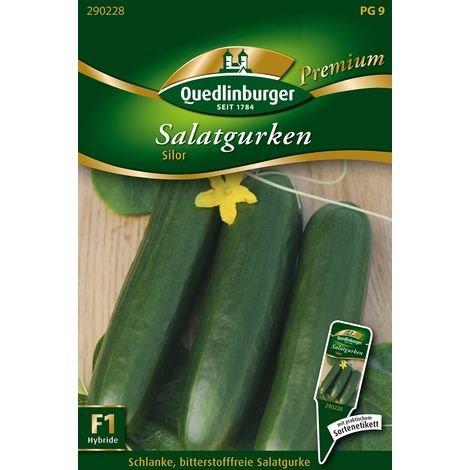 Quedlinburger Saatgut – Concombre à salade « Silor » – Graines de légumes, fruits de 16 à 18 cm (1/2)