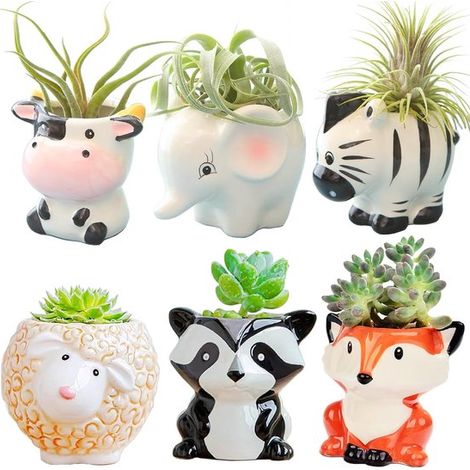 Lot de 6 pots en céramique pour plantes grasses, mini-pots mignons, 6 motifs animaux, avec drainage, sans plantes. Idéaux pour les plantes grasses, cactus et petites plantes en pot. Parfaits pour la m (1/5)