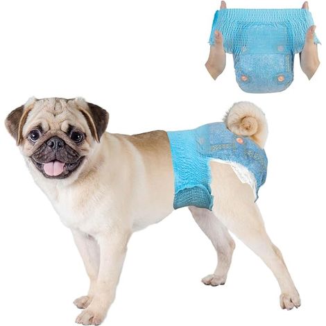 Couche Chien Femelle, Couche pour Chien avec Taille élastique, Couches Pull-up pour chiennes, S (26-46 cm) (1/5)