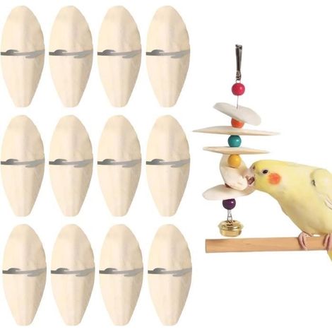 Os de Seiche - Jouets à Mâcher - 10-12 cm - Calcium Naturelle pour Oiseaux Becs Pointus, Tortue, Escargots (1/4)
