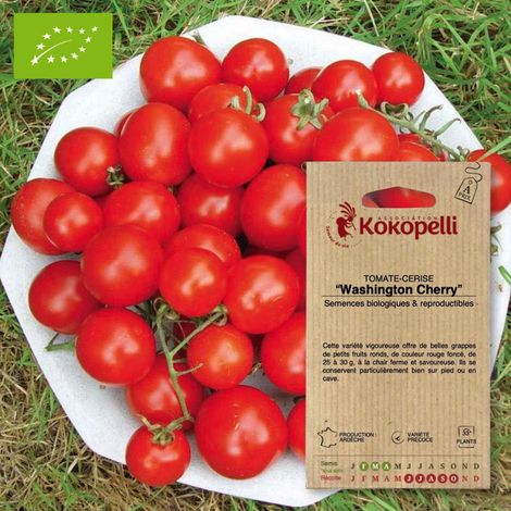 Tomate-Cerise Washington Cherry