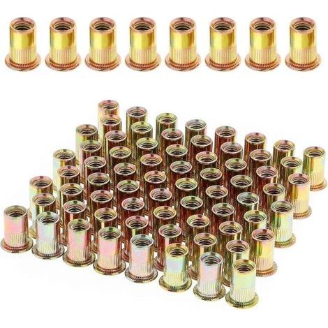 100 Pièces Écrou à Rivet M6 Fileté à Tête Plate, Écrous à Riveter Fileter en Acier au Carbone Zingué, Assortiment M6 Rivet Inserts Filetés pour Métal Plastique (12 mm x 15 mm) (1/5)