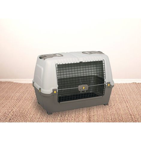 Dmora Cage de transport rigide pour chiens ou chats en polypropylène, cage portable avec tapis, 100% Made in Italy, 99x60h68 cm, couleur grise, avec emballage renforcé (1/4)
