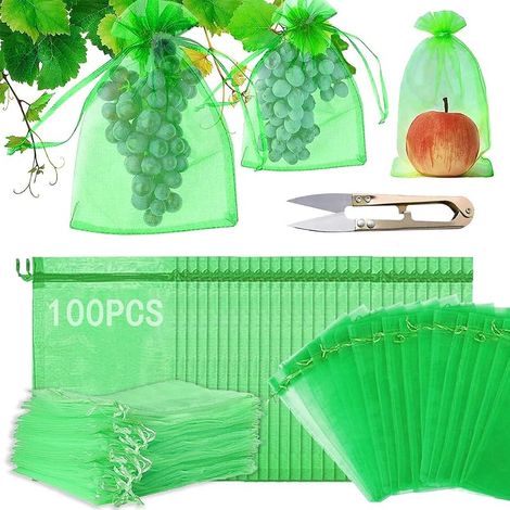 Sachet Protection Raisin,100 pièces Sac Protection Fruits,Sachet protection Fruits,Sachet Protection Raisin 20x 30cm Jardin Sac Organza avec Cordon Contre Guêpe Drosophile Scarabées Oiseaux (1/5)