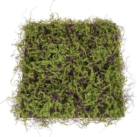 Mattonella di Lichene Dimensione 50x50 cm