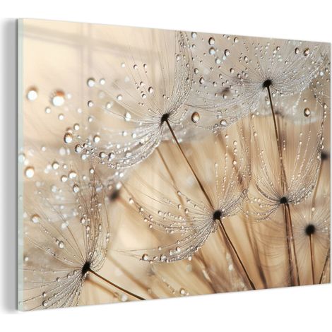 TABLEAU EN PLEXIGLAS Pissenlit - Abstrait - Nature - Beige Tableau Décoration Murale 60x40 (1/5)