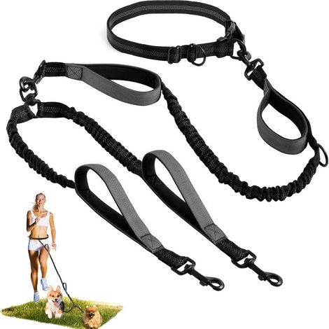 Laisse double détachable et mains libres pour chiens mâles de petite, moyenne et grande taille, idéale pour la marche, le jogging et autres exercices. Grise, réglable. (1/5)