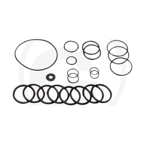 O-RING Satz ab 2010 für Membranpumpe AR215 bp C/C blau flex ANNOVI 67042513