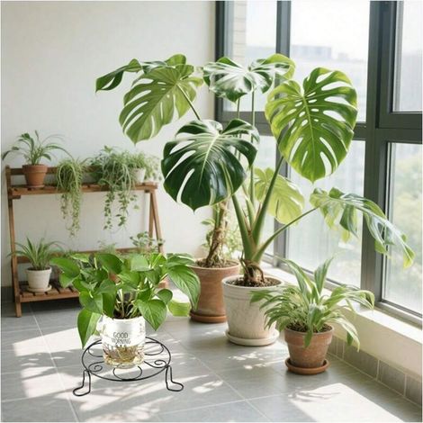 [Ensemble de 2 pièces] Support de pot de fleurs rond 200 x 75 mm, base antidérapante épaissie, plateau de plantes en pot de style nordique, balcon de salon, support de pot de fleurs vert, moderne et s (1/2)
