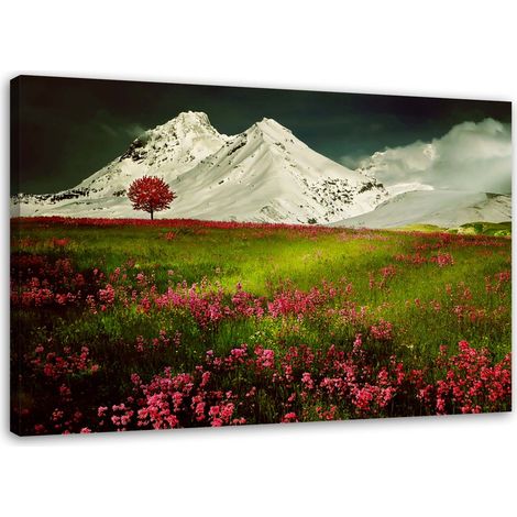 Tableau sur toile montagne paysage nature 60x40 (1/5)