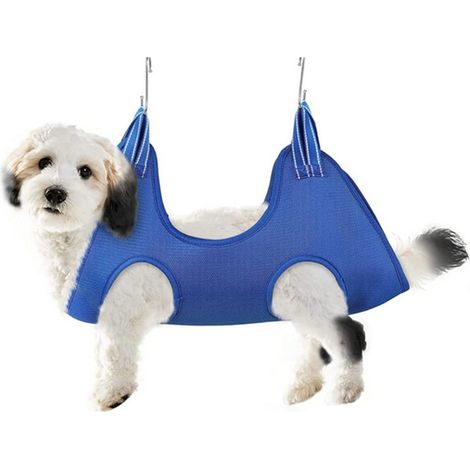 Filiyano-Hamac pour chiens et chats, coupe des griffes, tonte des poils, hamac de soin du pelage Bleu XS (1/5)