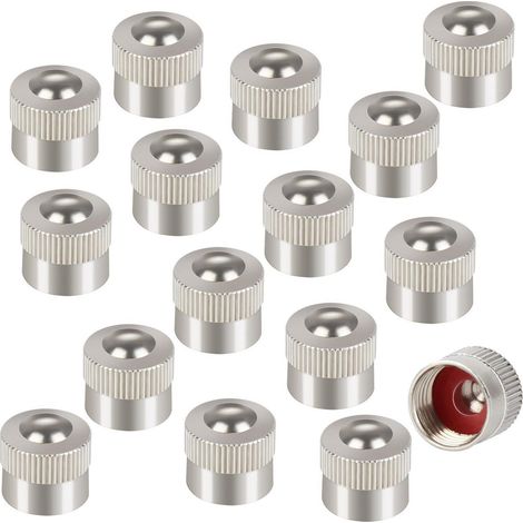 16x Metall Ventilkappen mit Gummidichtung für Auto, Motorrad, Fahrrad (1/5)