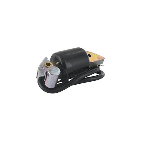 Honda – Bobine d'allumage adaptable pour moteurs G150 G200 G300 G400 – Remplace 30500-887-303 30560-883-015 – Étincelle optimale pour combustion - 3056088301 (1/2)