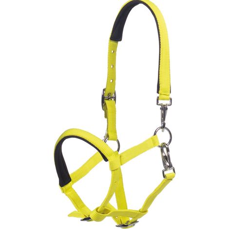 Puledro, : Cavezza in nylon regolabile per puledri modello Millie