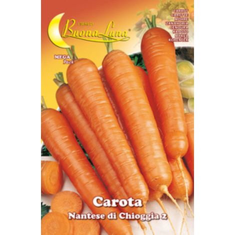 SEMI ORTO CAROTA DI CHIOGGIA- HORTUS SEMENTI- 10,0 pz