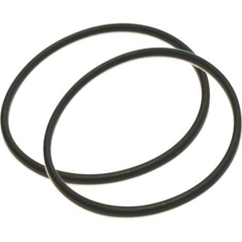 Lot de 2 joints cuve pour Valvofiltre