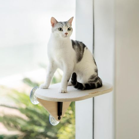 1 Perchoir fenêtre chat, Bois tilleul, Ventouse forte, Griffoir sisal, Marche escalade, Intérieur