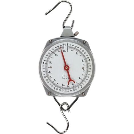 Pèse-ruche 100 kg
