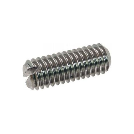 Vis métaux Sans tête Fendue Bout cuvette Inox A2 M8X25-10 pièces