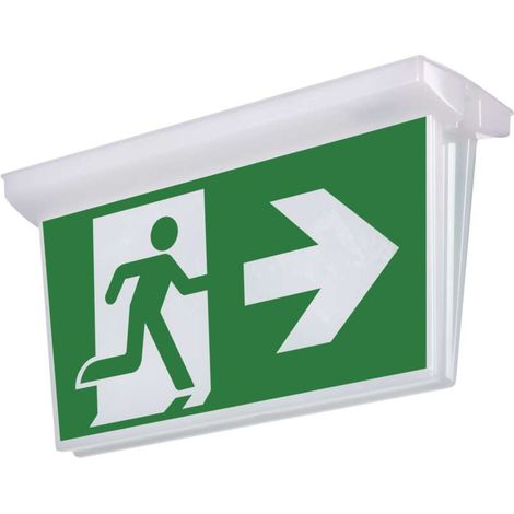 Notausgang Schild IP65 (1/5)
