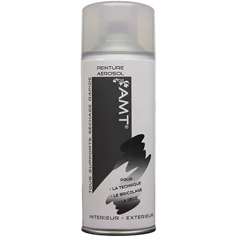 AMT Aérosol Vernis Brillant (BPA06) 0,330 L