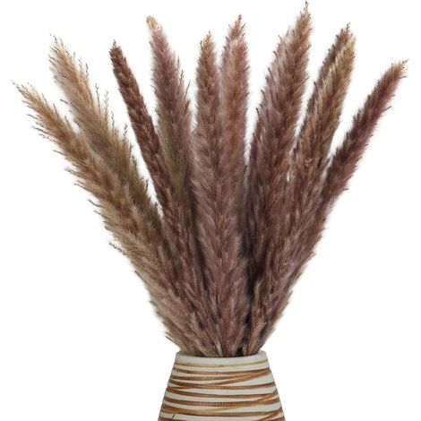 Plume De Pampas - Séchée Naturelle - 30 Pièces - 43 Cm - Décoration Intérieure Pour Salon Cuisine Chambre Mariage