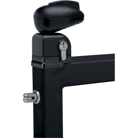 Cierre giratorio para puerta de piscina LOCINOX - negro ral 9005 - TWIST 40 9005