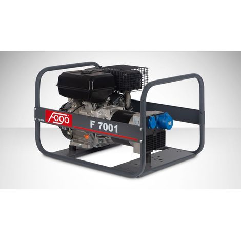 FOGO F 7001 Benzin-Stromerzeuger 6,2 kW 230 V (1/5)