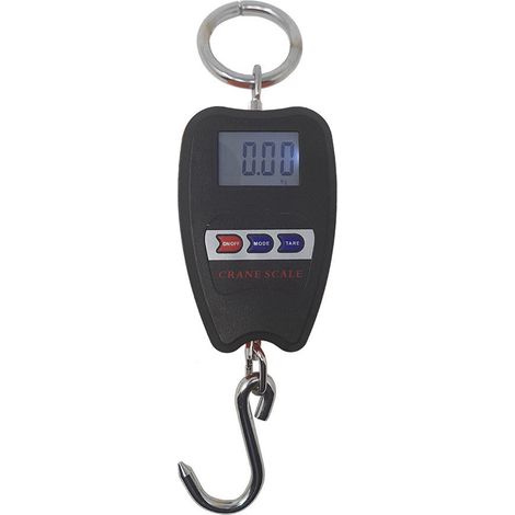 Bilancia Digitale Dinamometro 200Kg Gancio Molla Professionale (1/5)
