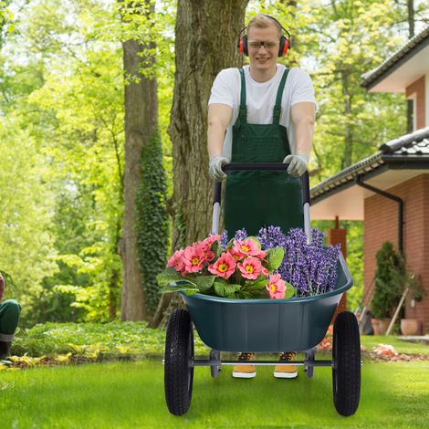 Brouette de Jardin 2 Roues Brouette de Jardin Résistante en Fer avec Pneus Ø35cm Charge Max 100KG pour Jardinage/Maçonnerie Vert CW9302 Maison Chic (1/2)