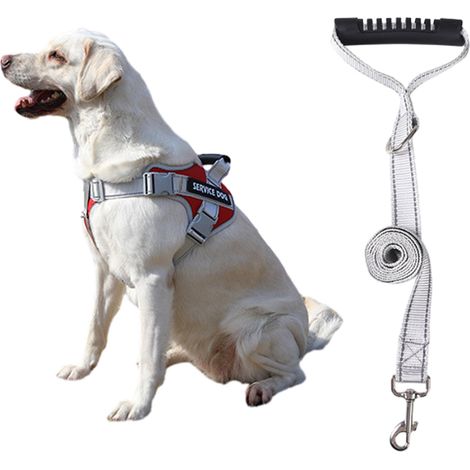1 harnais anti-traction pour chien, réglable et réfléchissant, avec poignée et laisse intégrée, pour marche et course (1/5)