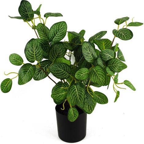 40cm Artificial Variegated Pothos Plant (1/5)